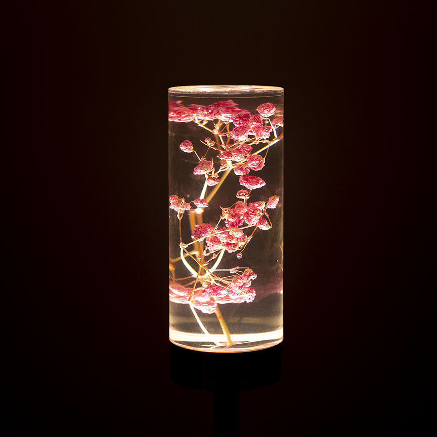 Zeitgenössische kreative USB-wiederaufladbare ewige Blume Gänseblümchen Löwenzylinder Eisen Acryl LED Tischlampe Nachtlicht für den Nachttisch 