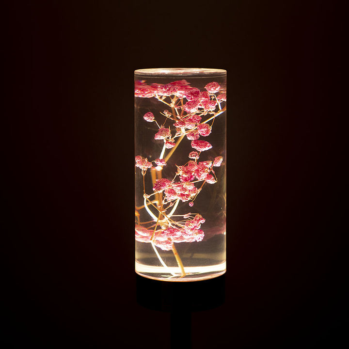 Zeitgenössische kreative USB-wiederaufladbare ewige Blume Gänseblümchen Löwenzylinder Eisen Acryl LED Tischlampe Nachtlicht für den Nachttisch 