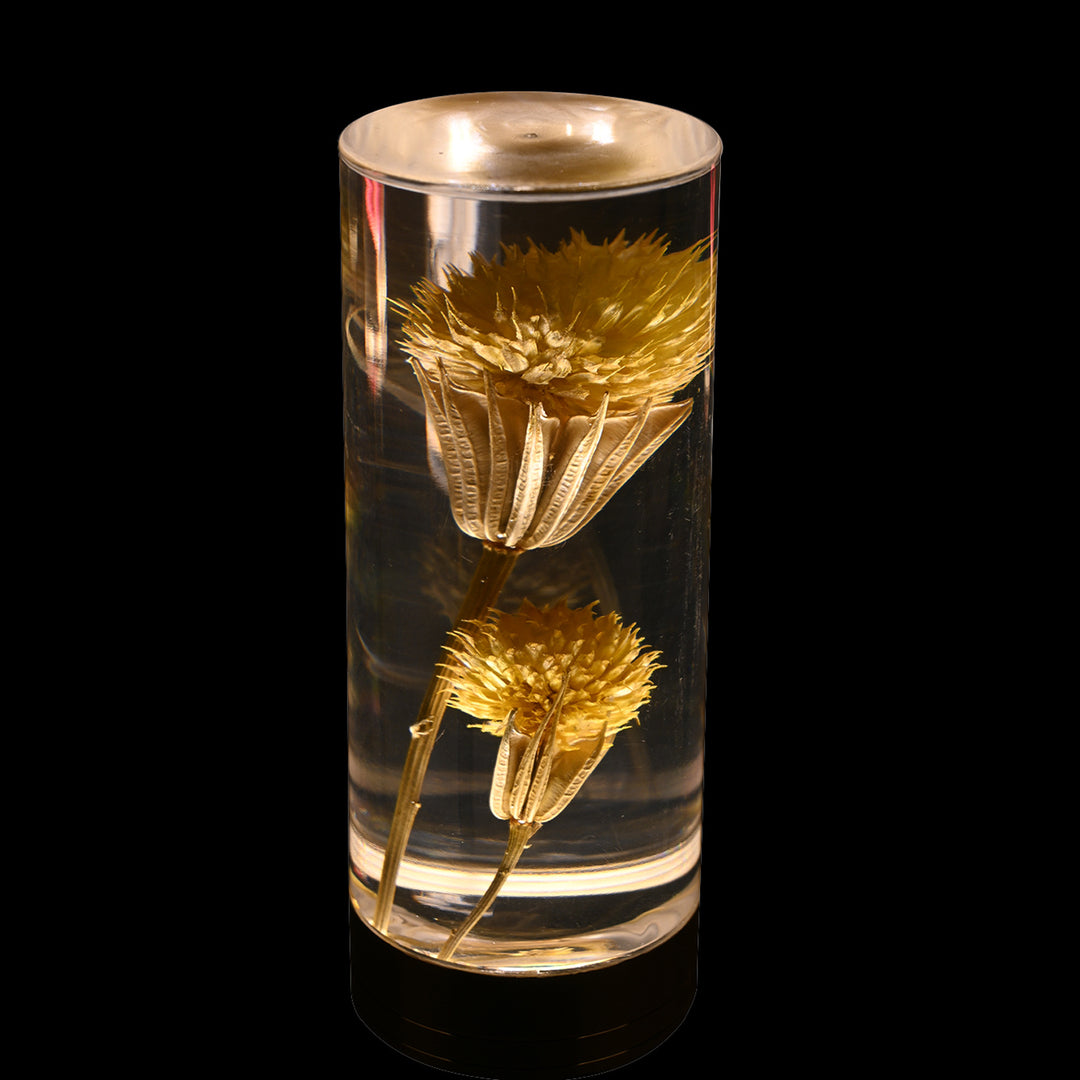 Zeitgenössische kreative USB-wiederaufladbare ewige Blume Gänseblümchen Löwenzylinder Eisen Acryl LED Tischlampe Nachtlicht für den Nachttisch 