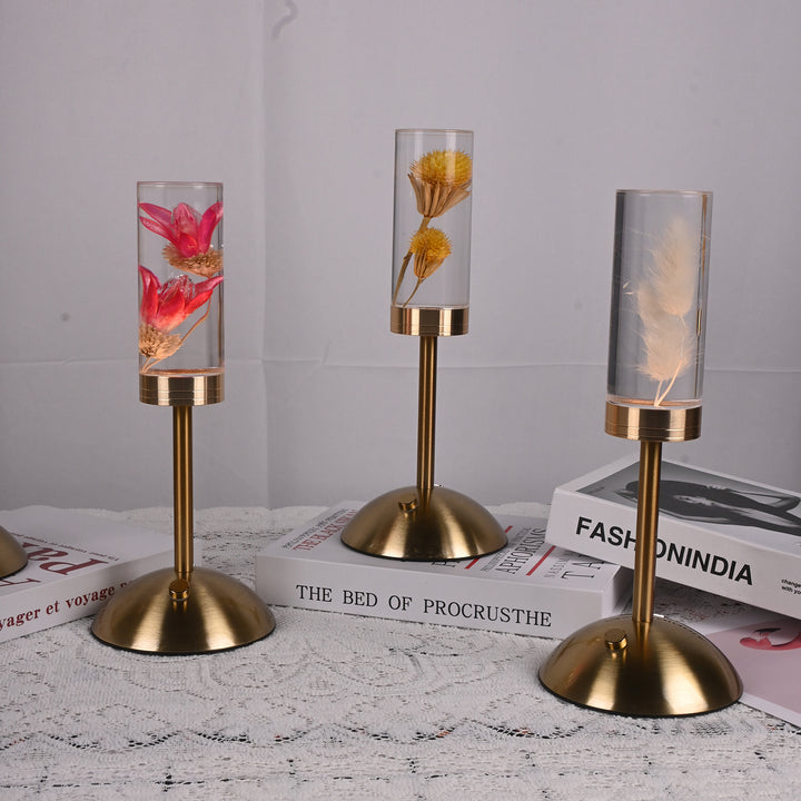 Zeitgenössische kreative USB-wiederaufladbare ewige Blume Gänseblümchen Löwenzylinder Eisen Acryl LED Tischlampe Nachtlicht für den Nachttisch 