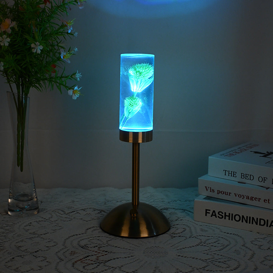 Zeitgenössische kreative USB-wiederaufladbare ewige Blume Gänseblümchen Löwenzylinder Eisen Acryl LED Tischlampe Nachtlicht für den Nachttisch 