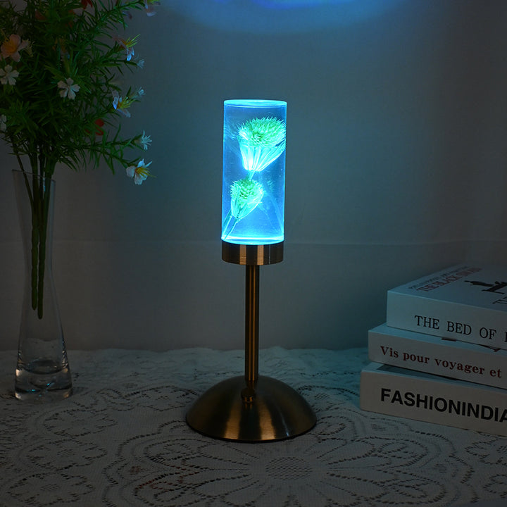 Zeitgenössische kreative USB-wiederaufladbare ewige Blume Gänseblümchen Löwenzylinder Eisen Acryl LED Tischlampe Nachtlicht für den Nachttisch 