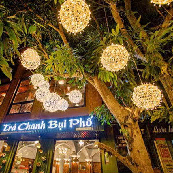 Modern Art Deco Waterproof PVC Hanging Ball Decoration LED Outdoor Pendant Light Outdoor Light For Garden