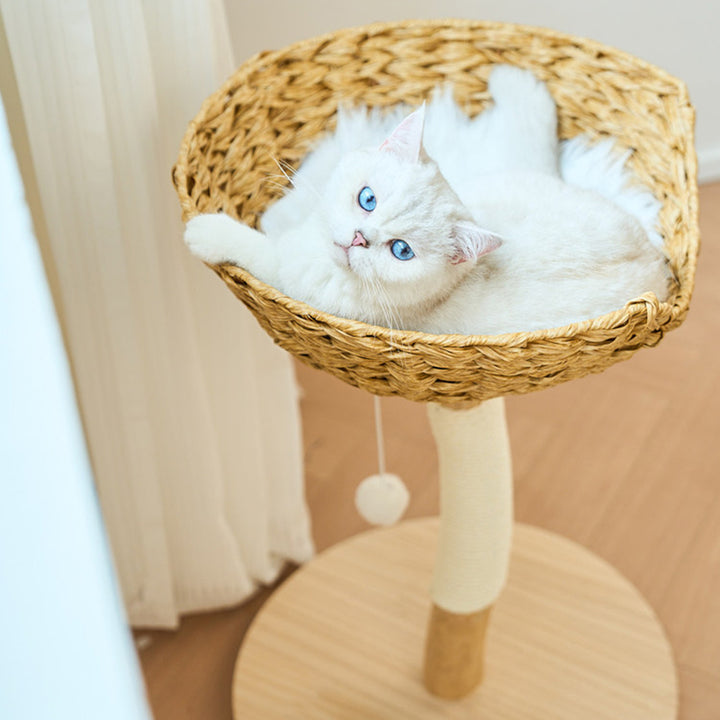 Contemporary Creative Cylindrical Bowl-Shaped Pine Camphor Tree Trunk Kraft Paper Rope PE Rattan Cat Tree &amp; Condo 1 - Condo For Living Room