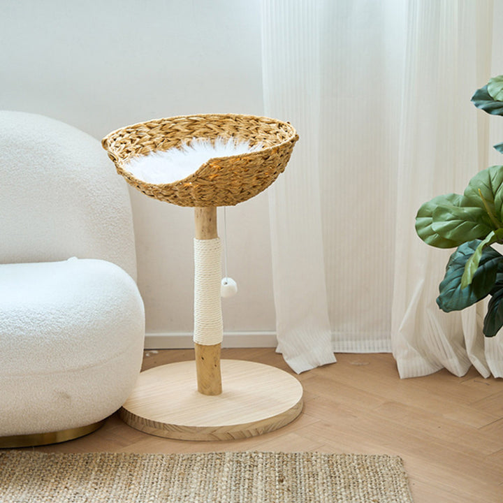 Contemporary Creative Cylindrical Bowl-Shaped Pine Camphor Tree Trunk Kraft Paper Rope PE Rattan Cat Tree & Condo 1 - Condo For Living Room