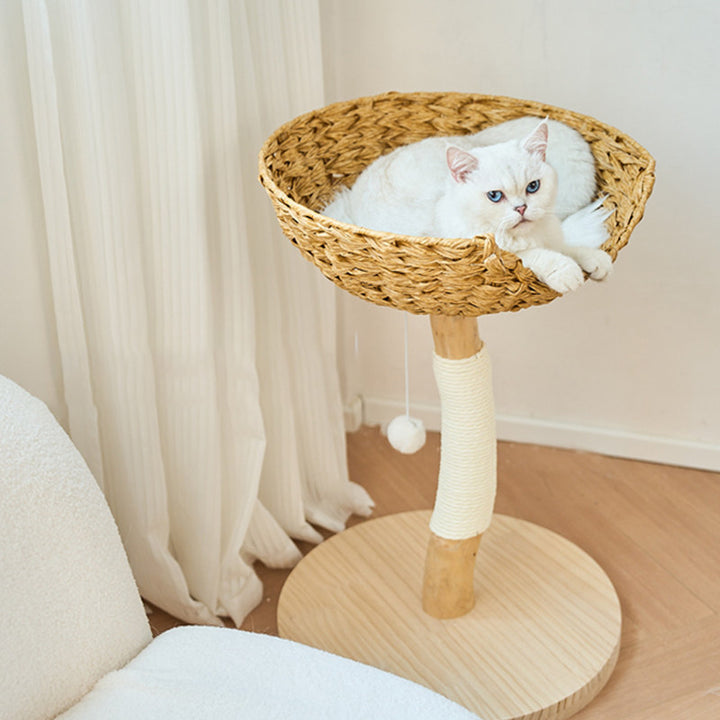 Contemporary Creative Cylindrical Bowl-Shaped Pine Camphor Tree Trunk Kraft Paper Rope PE Rattan Cat Tree & Condo 1 - Condo For Living Room
