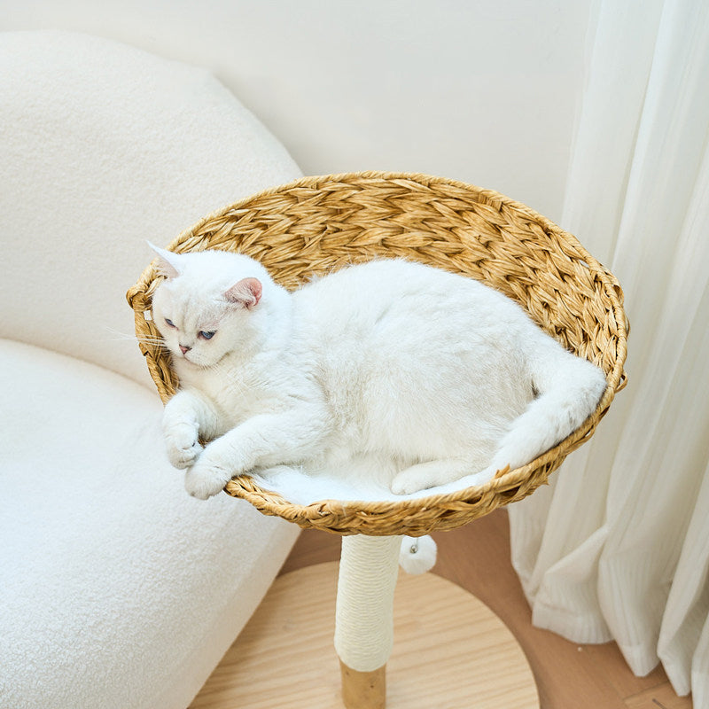 Contemporary Creative Cylindrical Bowl-Shaped Pine Camphor Tree Trunk Kraft Paper Rope PE Rattan Cat Tree &amp; Condo 1 - Condo For Living Room