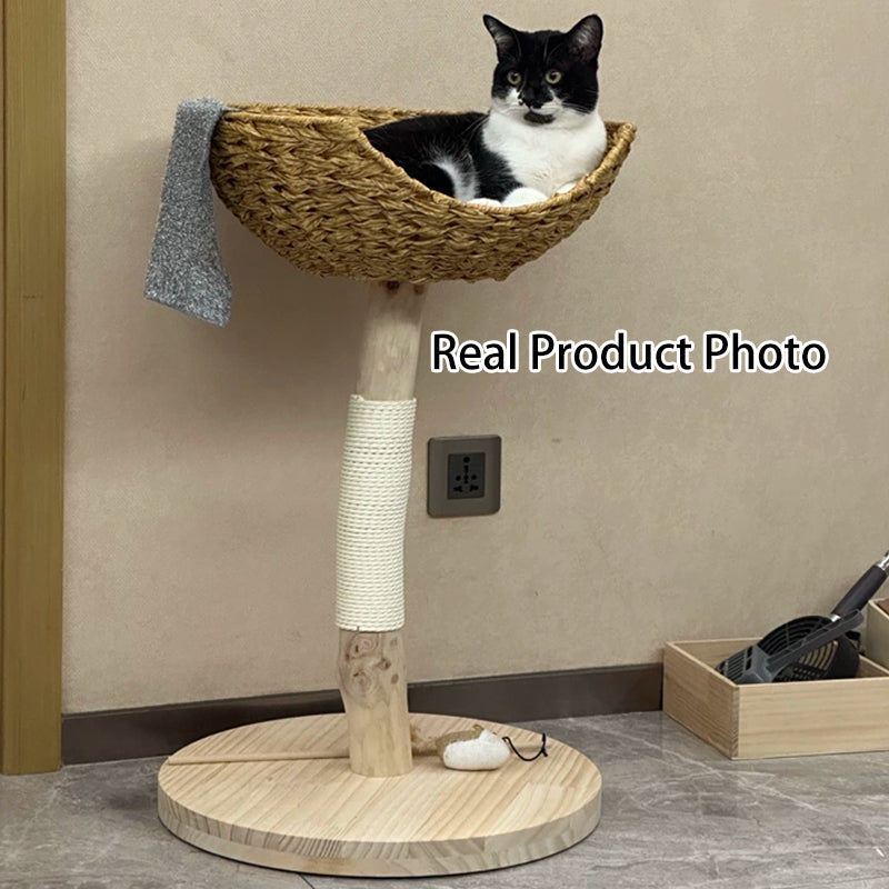 Contemporary Creative Cylindrical Bowl-Shaped Pine Camphor Tree Trunk Kraft Paper Rope PE Rattan Cat Tree &amp; Condo 1 - Condo For Living Room