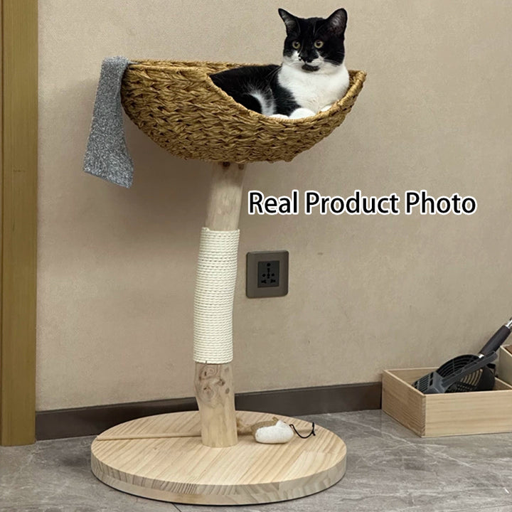 Contemporary Creative Cylindrical Bowl-Shaped Pine Camphor Tree Trunk Kraft Paper Rope PE Rattan Cat Tree &amp; Condo 1 - Condo For Living Room