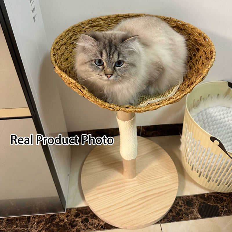 Contemporary Creative Cylindrical Bowl-Shaped Pine Camphor Tree Trunk Kraft Paper Rope PE Rattan Cat Tree &amp; Condo 1 - Condo For Living Room