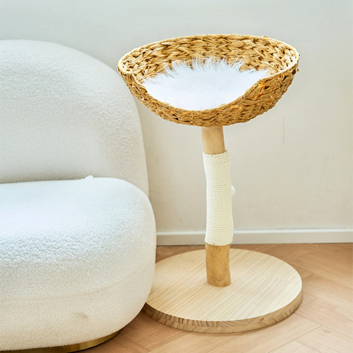 Contemporary Creative Cylindrical Bowl-Shaped Pine Camphor Tree Trunk Kraft Paper Rope PE Rattan Cat Tree &amp; Condo 1 - Condo For Living Room