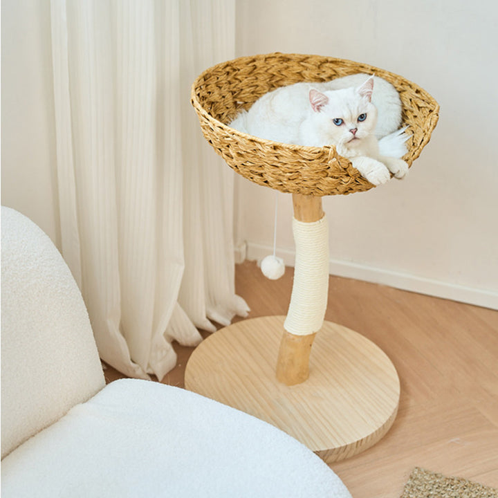 Contemporary Creative Cylindrical Bowl-Shaped Pine Camphor Tree Trunk Kraft Paper Rope PE Rattan Cat Tree &amp; Condo 1 - Condo For Living Room