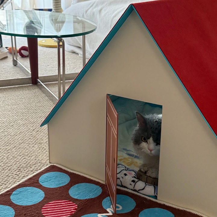 Modernes kreatives rechteckiges Katzenbett in Hausform aus Karton, Filz, Wellpapier und Fleecepad fürs Schlafzimmer 