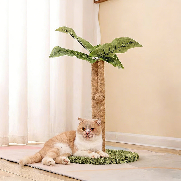 Rascador para gatos contemporáneo y creativo con forma de árbol, de cuerda de yute, plástico, felpa tipo teddy, tablero de fibra de densidad media y tubo de papel, con pelota de juguete, para sala de estar 