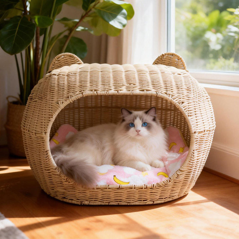 Contemporary Creative PE Carbon Steel Oval Cat Ears Cat Bed For Living Room &amp; Bedroom