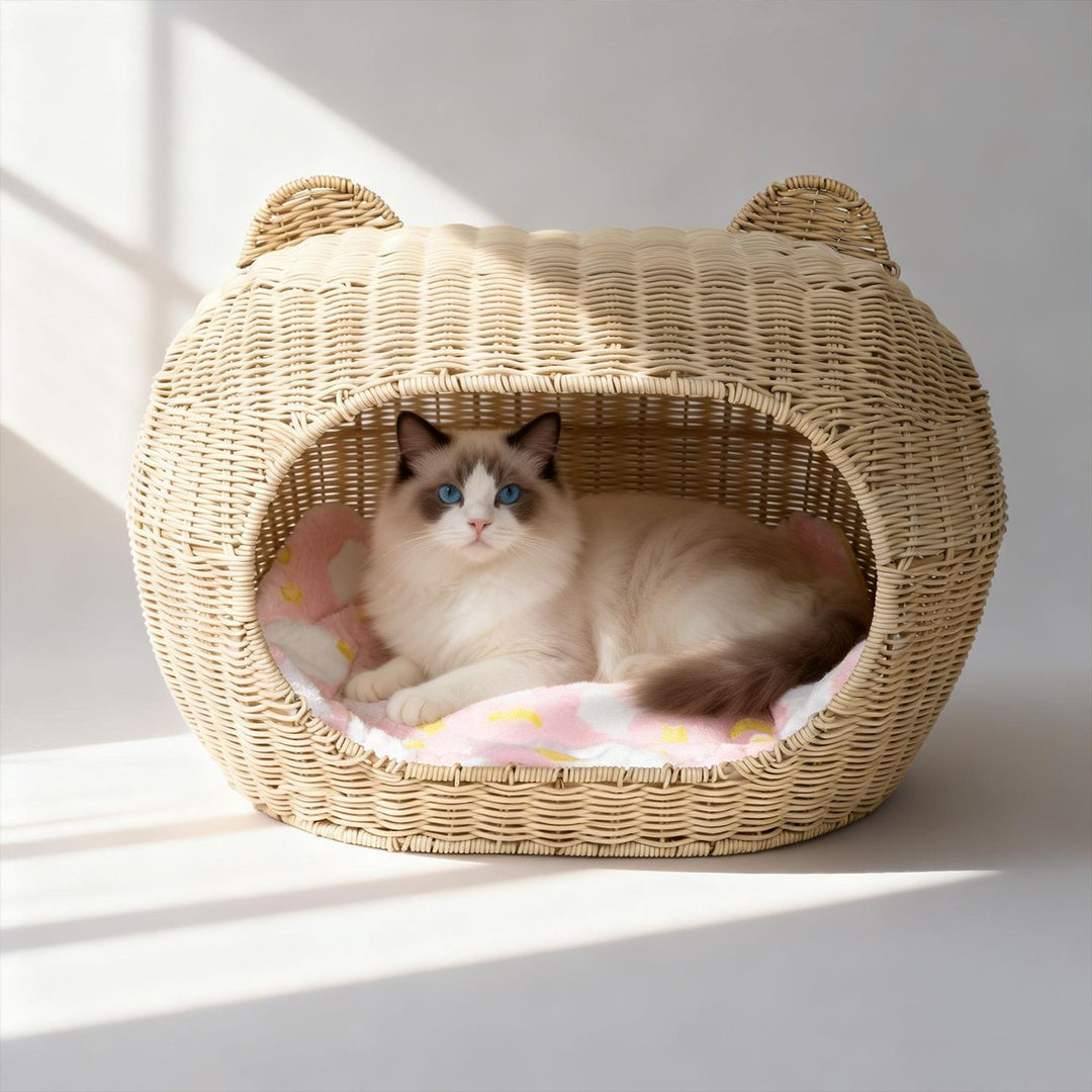Contemporary Creative PE Carbon Steel Oval Cat Ears Cat Bed For Living Room &amp; Bedroom