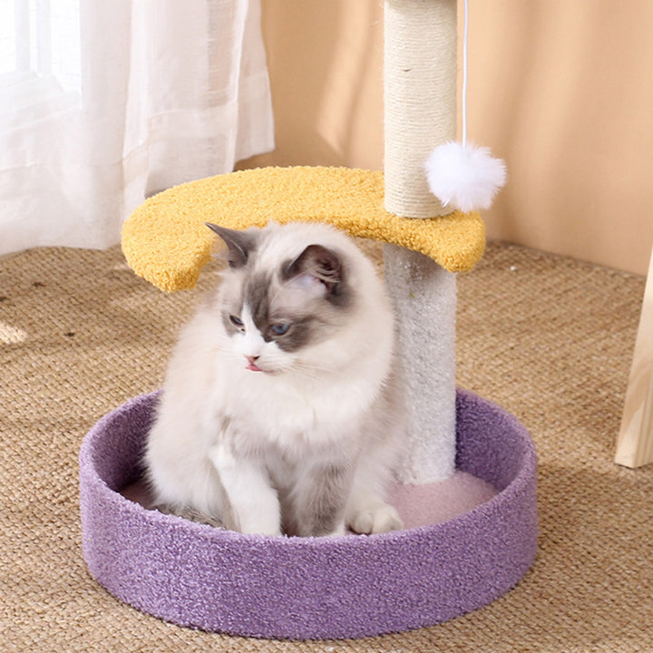 Contemporary Creative Teddy Fleece Sisal MDF Round Moon &amp; Star Cat Trees &amp; Condos 2-Perch For Living Room