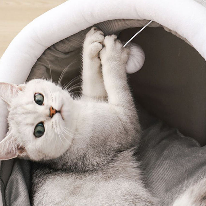 Modern minimalistisches, rundes Katzenbett aus Polyester in Autoform mit Ohren, 1 Spielball, herausnehmbare Matratze für Wohn- und Schlafzimmer 