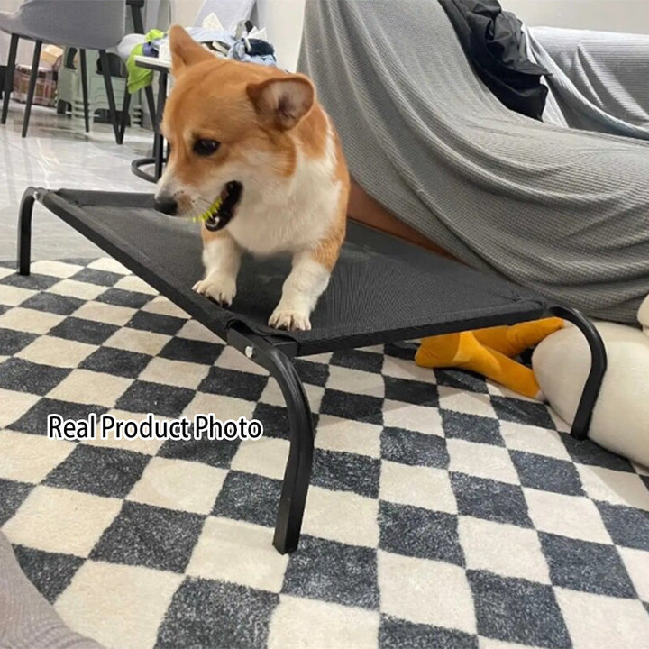 Modern Minimalist Nylon Iron Rectangular Dog Bed For Living Room &amp; Bedroom