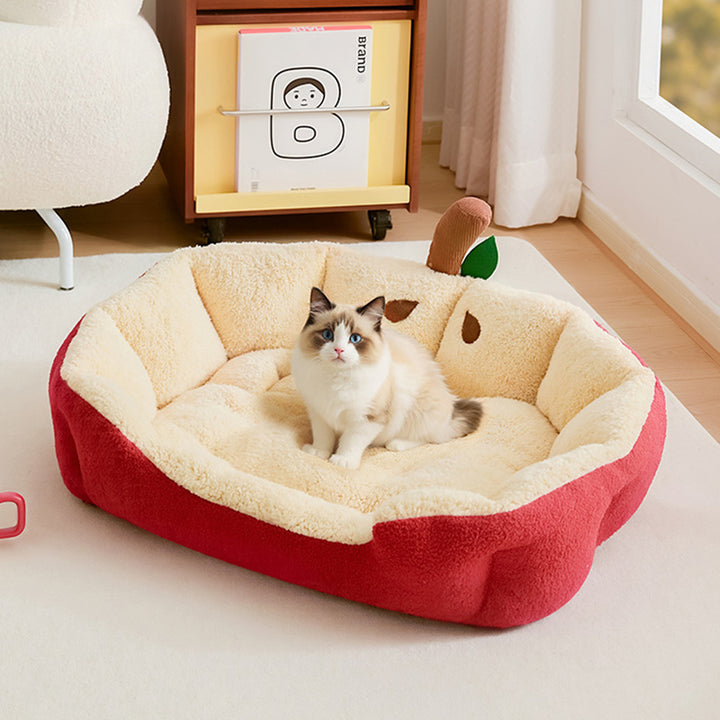 Moderne kreative Katzenhöhle in Ellipsen- und Apfelform aus Milk Velvet und Baumwollsamt für Wohnzimmer &amp; Schlafzimmer 