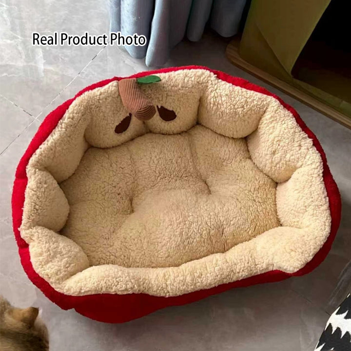 Moderne kreative Katzenhöhle in Ellipsen- und Apfelform aus Milk Velvet und Baumwollsamt für Wohnzimmer &amp; Schlafzimmer 