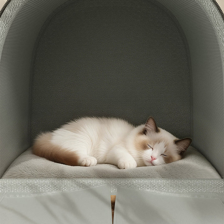 Cama para gato plegable con arco, de terciopelo minimalista moderno, esponja y algodón PP, para sala de estar y dormitorio 