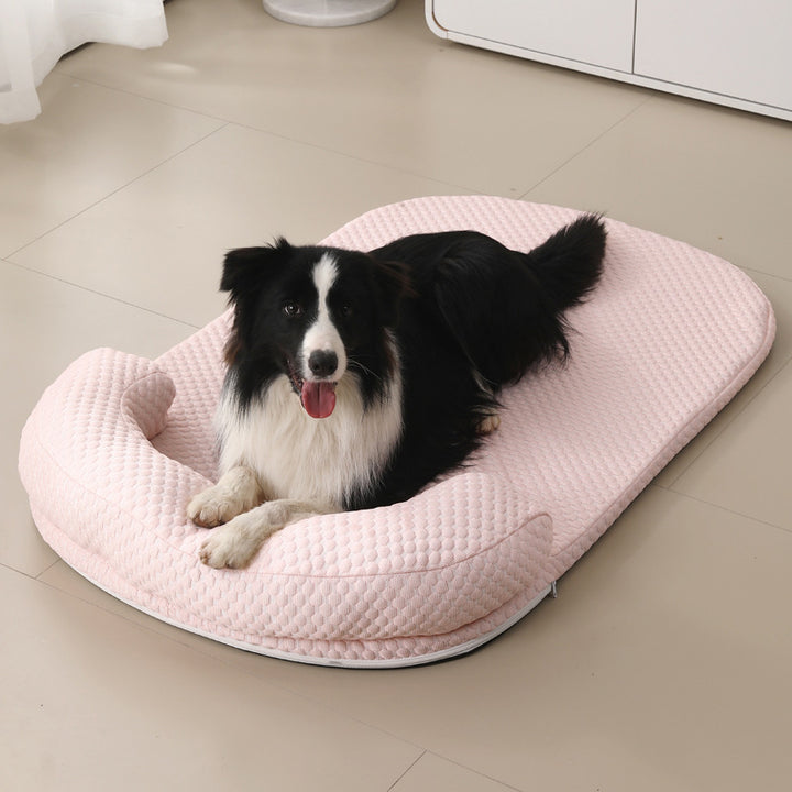 Cama ovalada para perro de esponja de seda helada, algodón PP y estilo minimalista moderno para sala de estar y dormitorio 