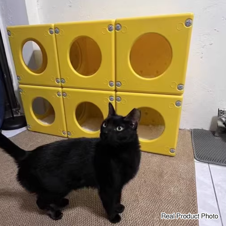 Modern Minimalist Resin PET Square Cat Bed 1-Toy Ball &amp; Interchangeable Design For Living Room &amp; Bedroom