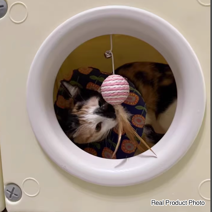 Modern Minimalist Resin PET Square Cat Bed 1-Toy Ball &amp; Interchangeable Design For Living Room &amp; Bedroom