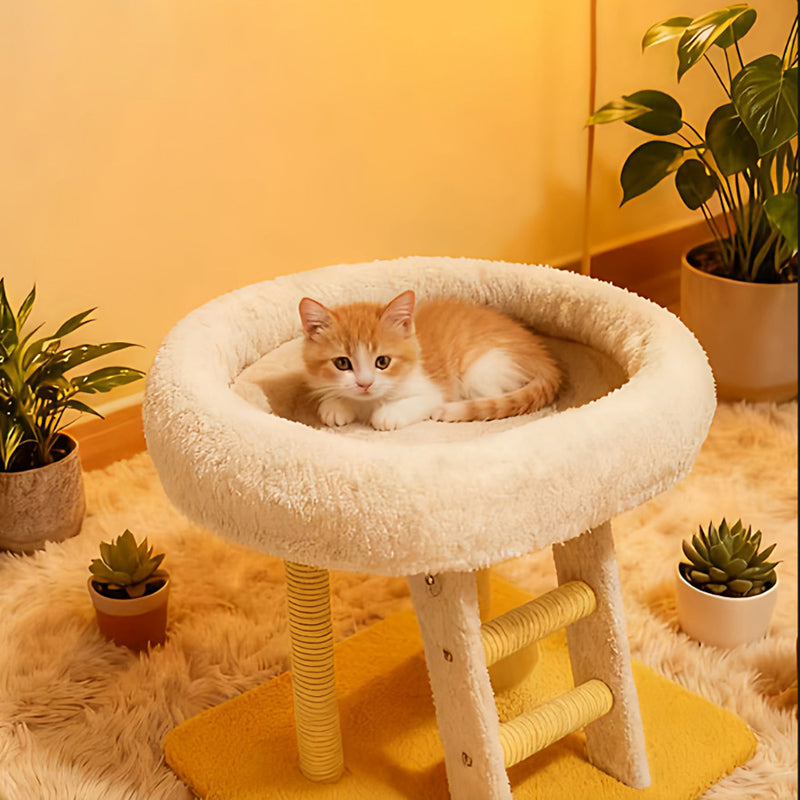 Moderner minimalistischer rechteckiger Katzenbaum und Katzenhöhlen aus MDF, Samt und Sisal, 1 Höhle, 1 Leiter, 2 Kratzsäulen, für das Wohnzimmer 