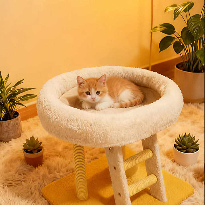 Moderner minimalistischer rechteckiger Katzenbaum und Katzenhöhlen aus MDF, Samt und Sisal, 1 Höhle, 1 Leiter, 2 Kratzsäulen, für das Wohnzimmer 
