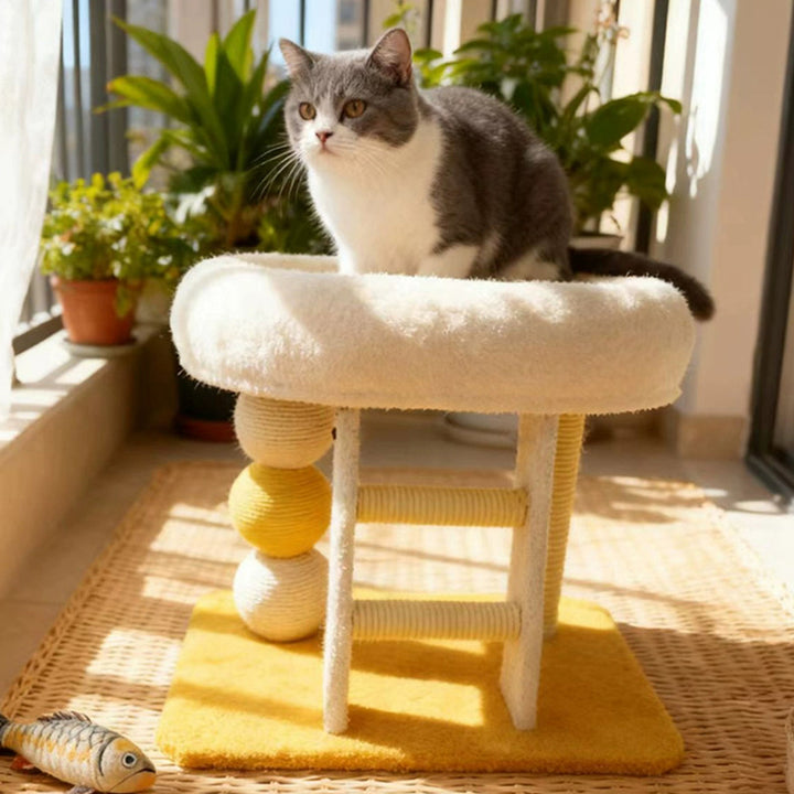 Moderner minimalistischer rechteckiger Katzenbaum und Katzenhöhlen aus MDF, Samt und Sisal, 1 Höhle, 1 Leiter, 2 Kratzsäulen, für das Wohnzimmer 