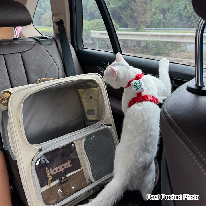 Modern Minimalist Canvas PP Rectangular Movable Removable Cat Travel Carrier Cat Bed For Outdoor