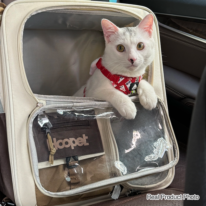 Modern Minimalist Canvas PP Rectangular Movable Removable Cat Travel Carrier Cat Bed For Outdoor