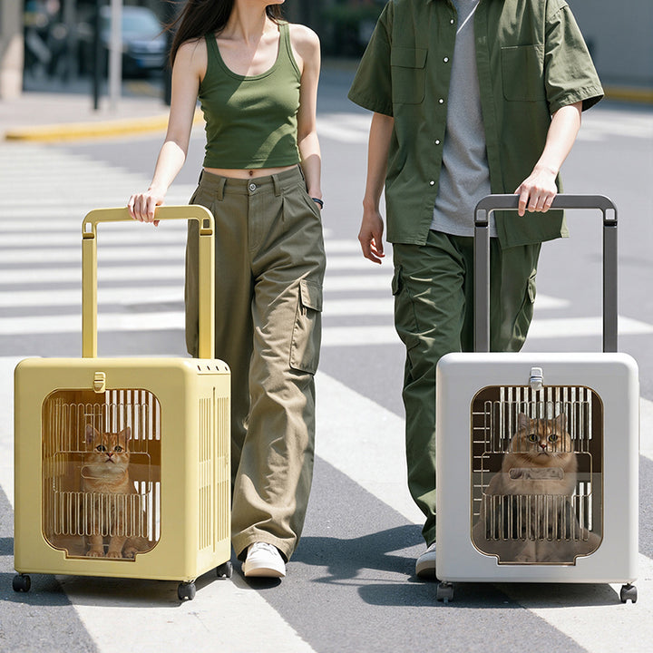 Transportín para gatos moderno, minimalista, rectangular, móvil y plegable de ABS y PP, también cama para gatos, para exteriores 