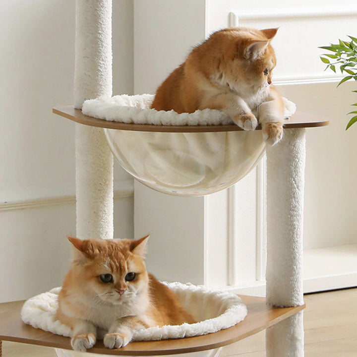 Moderner minimalistischer Katzenbaum aus Verbundplatte, Acryl, Samt und Sisal, rechteckig, mit 2 Höhlen, 1 Liegefläche und 1 Spielball fürs Wohnzimmer 