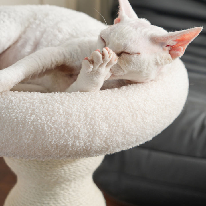 Modern Minimalist Cylindrical Wavy-Patterned Hemp Rope Bamboo Mat Velvet Medium Density Fiberboard Foam Plastic Cat Tree &amp; Condo 1-Scratching Post For Living Room