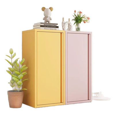 Modern Minimalist Rectangular Steel Storage Cabinet 1-Cabinet For Living Room