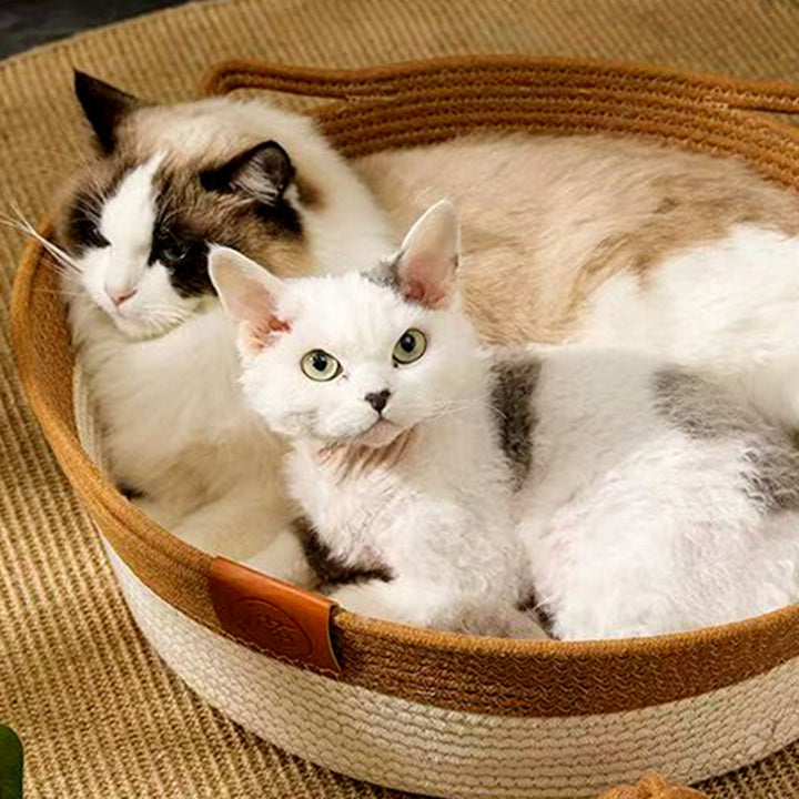 Lit pour chat en jute tressé de forme ronde et créative contemporaine pour chambre à coucher 