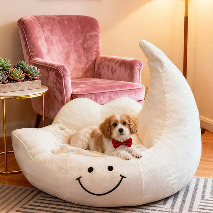Lit pour chien et chat en éponge velours, contemporain, créatif, incurvé, en forme de lune, pour chambre à coucher 