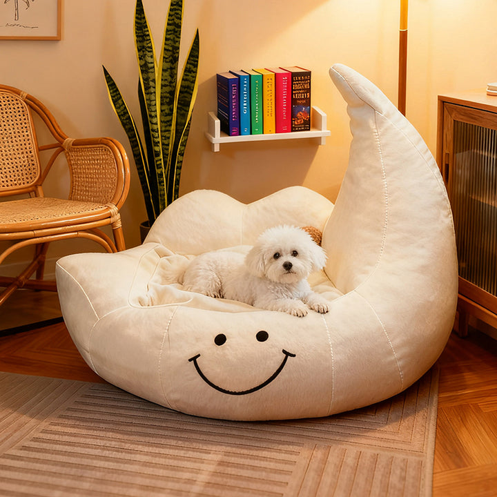 Lit pour chien et chat en éponge velours, contemporain, créatif, incurvé, en forme de lune, pour chambre à coucher 