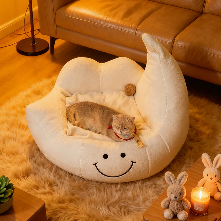 Lit pour chien et chat en éponge velours, contemporain, créatif, incurvé, en forme de lune, pour chambre à coucher 