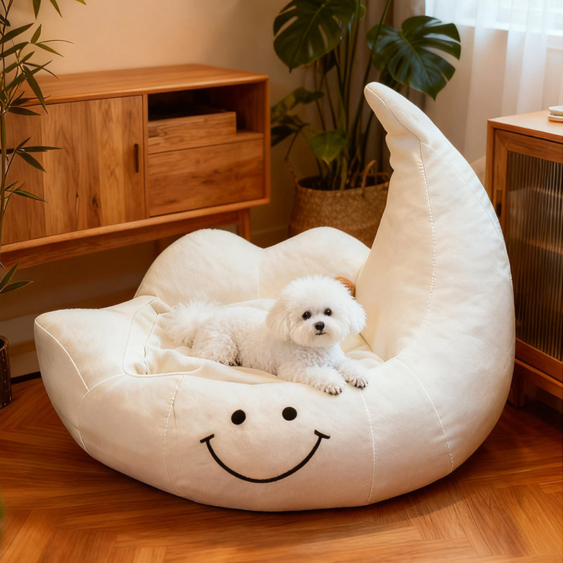 Lit pour chien et chat en éponge velours, contemporain, créatif, incurvé, en forme de lune, pour chambre à coucher 