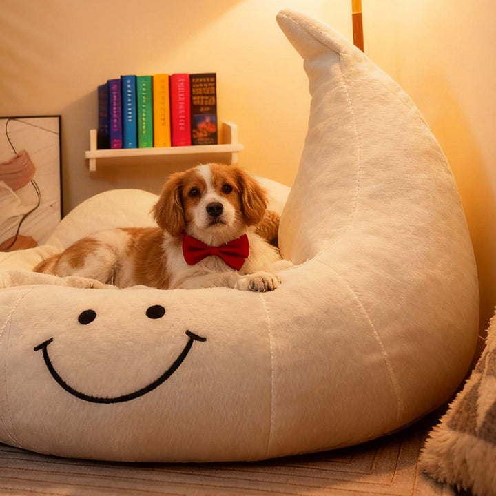 Lit pour chien et chat en éponge velours, contemporain, créatif, incurvé, en forme de lune, pour chambre à coucher 
