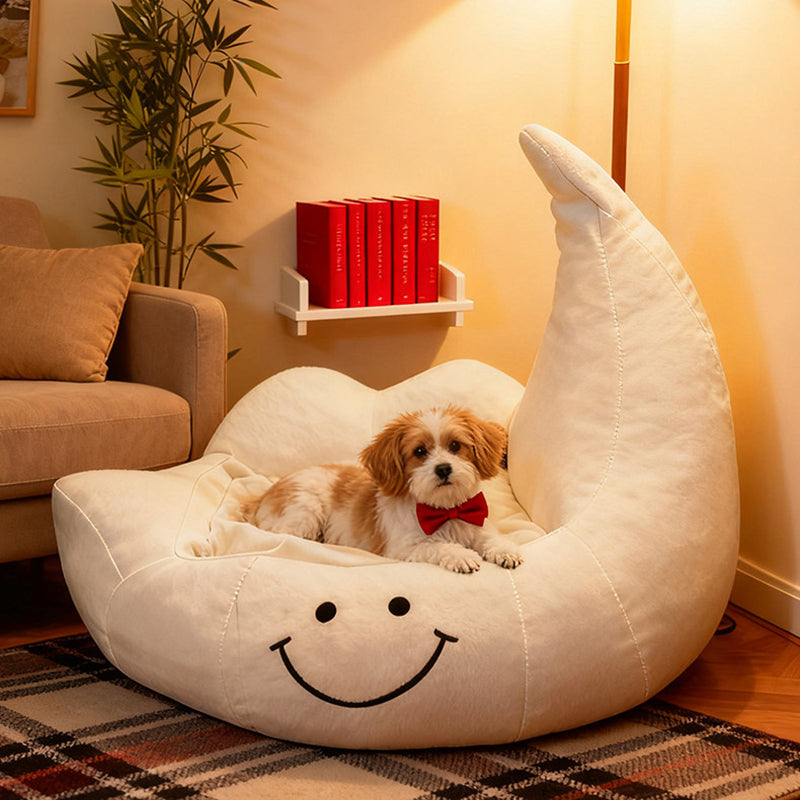 Lit pour chien et chat en éponge velours, contemporain, créatif, incurvé, en forme de lune, pour chambre à coucher 
