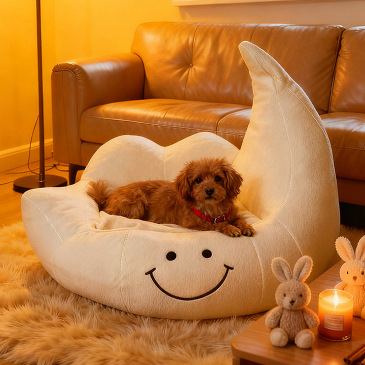 Lit pour chien et chat en éponge velours, contemporain, créatif, incurvé, en forme de lune, pour chambre à coucher 