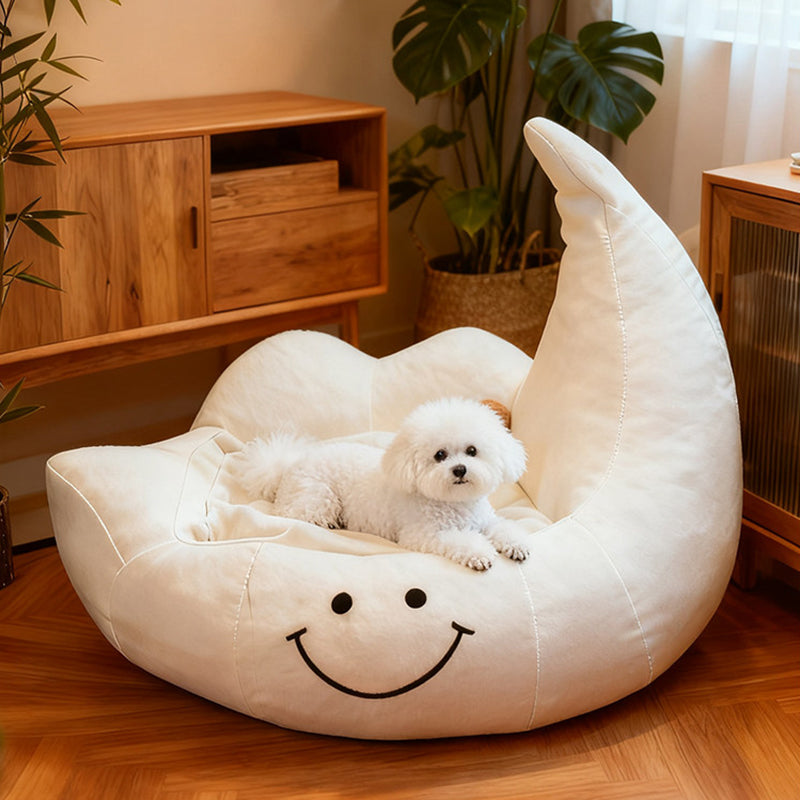 Lit pour chien et chat en éponge velours, contemporain, créatif, incurvé, en forme de lune, pour chambre à coucher 
