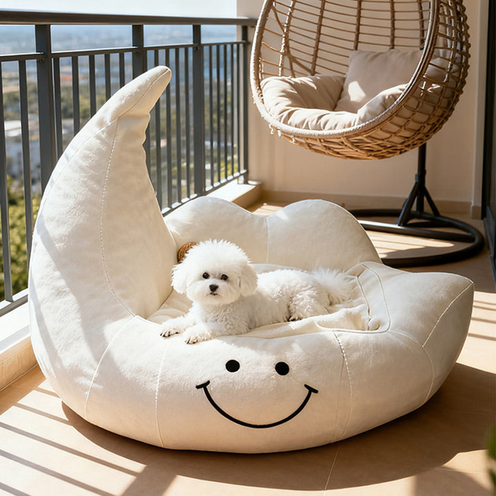 Lit pour chien et chat en éponge velours, contemporain, créatif, incurvé, en forme de lune, pour chambre à coucher 