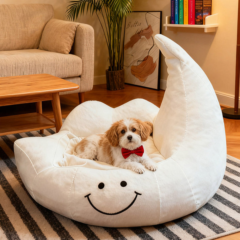 Lit pour chien et chat en éponge velours, contemporain, créatif, incurvé, en forme de lune, pour chambre à coucher 