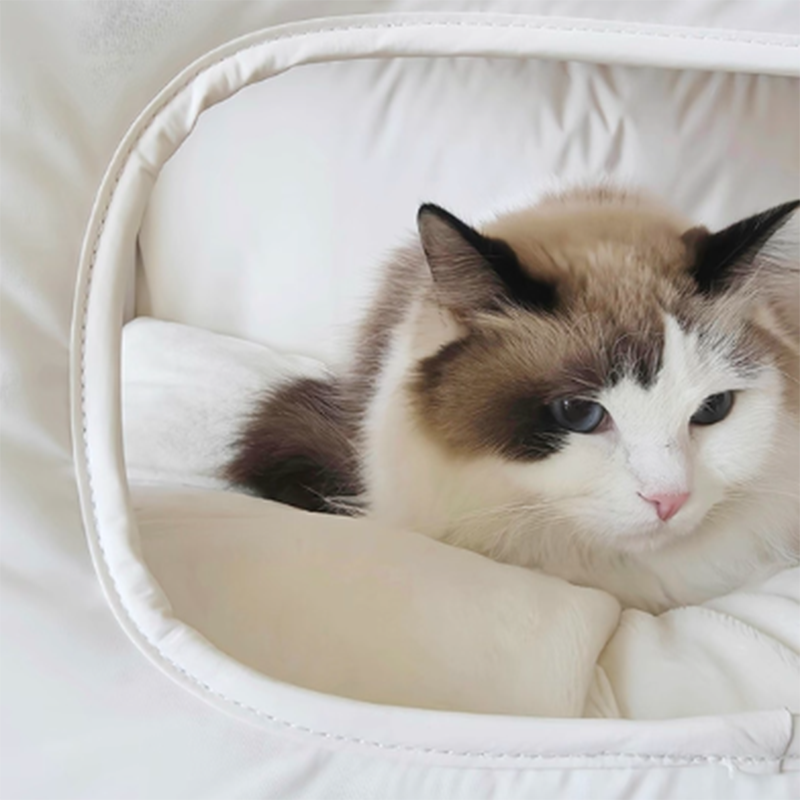 Modern Minimalist House Shaped Plastic Polyester Cotton PP Cotton Pet Waterproof Dog Bed Cat Bed For Bedroom